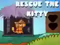 Hra Zachráň mačičku online