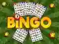 Hra Bingo Odhalený online Hra Bingo Odhalený online