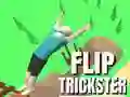 Hra Flip Trickster online Hra Flip Trickster online