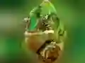 Hra Puzzle Chameleón online Hra Puzzle Chameleón online