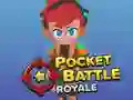 Hra Pocket Battle Royale online Hra Pocket Battle Royale online