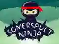 Hra Ninja Prevrat online Hra Ninja Prevrat online