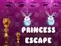 Hra Únik princeznej online Hra Únik princeznej online