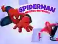 Hra Pamäť Spidermana online Hra Pamäť Spidermana online