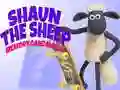 Hra Shaun Ovca: Hra Pamäte online