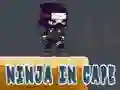 Hra Ninja v Plášti online Hra Ninja v Plášti online