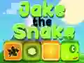 Hra Jake Had online Hra Jake Had online