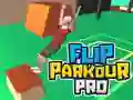 Hra Flip Parkour Pro online Hra Flip Parkour Pro online