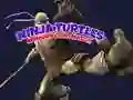 Hra Pexeso s Ninja korytnačami online Hra Pexeso s Ninja korytnačami online