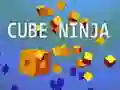 Hra Kockový Ninja online