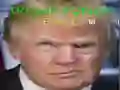 Hra Trump Zábavná Tvár online