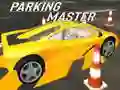 Hra Majster Parkovania online Hra Majster Parkovania online