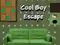Hra Únik Cool Chlapca online
