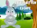 Hra Únik Zaja a Mačiatka online Hra Únik Zaja a Mačiatka online