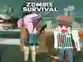 Hra Prežitie zombie online Hra Prežitie zombie online