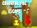 Hra Farebný Pac Únik online Hra Farebný Pac Únik online