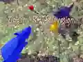 Hra Invázia Origami Potkanov online Hra Invázia Origami Potkanov online