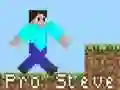 Hra Pro Steve online Hra Pro Steve online