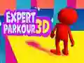 Hra Expert Parkour 3D online Hra Expert Parkour 3D online