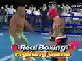 Hra Skutočný Boxerský Hráč online
