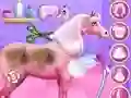 Hra Starostlivosť o princeznine kone online