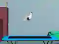 Hra Flip na Trampolíne online Hra Flip na Trampolíne online