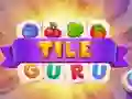 Hra Gurú Dlaždíc online Hra Gurú Dlaždíc online