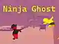 Hra Ninja Duch online