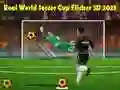 Hra Skutočný Svetový Pohár vo Futbale Flicker 3D 2023 online