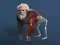 Hra Nečinná Evolúcia: Od Bunky po Človeka online Hra Nečinná Evolúcia: Od Bunky po Človeka online