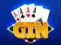Hra Gin Rummy online Hra Gin Rummy online