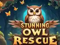 Hra Úžasné záchrana sovy online Hra Úžasné záchrana sovy online
