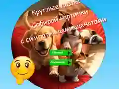 Hra Kruhové puzzle: zbierajte obrázky s roztomilými šteniatkami online Hra Kruhové puzzle: zbierajte obrázky s roztomilými šteniatkami online
