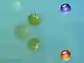 Hra Moje dobrodružstvá online