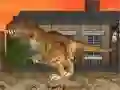 Hra LA Rex online