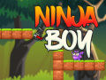 Hra Ninja Chlapec online