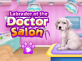 Hra Labrador u veterinárnej klinike online