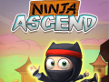 Hra Ninja Vzostup online