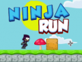 Hra Ninja Beh online