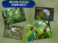 Hra Puzzle Dážďový Les online