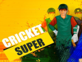 Hra Super Kriket online
