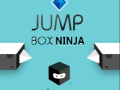 Hra Skákajúce Box Ninja online