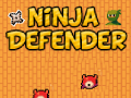 Hra Ninja Obranný online