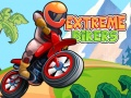 Hra Extrémni Bikeri online