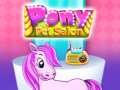 Hra Salon Domácich Zvierat Pony online