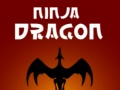 Hra Nindža Drak online