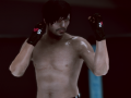 Hra MFS: MMA Fighter online