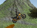 Hra Jazdec na terénnom motocykli online