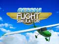 Hra Simulátor letu Cessna online