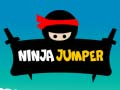 Hra Ninja Skokan online